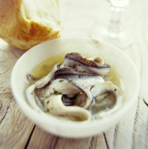 Healthy Protein Sources Prints: Fish and bread meal