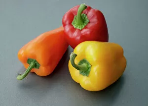 Trio Gallery: Fresh peppers