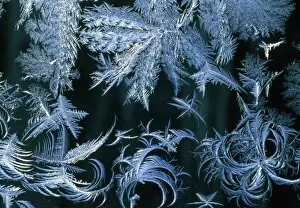 Images Dated 15th September 2004: Frost patterns