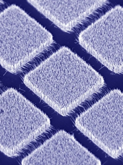 Gallium nitride nanowires, SEM Gallium nitride nanowires, SEM