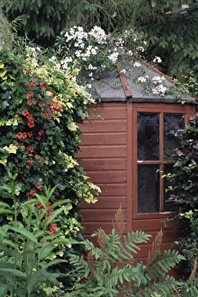 Garden shed Garden shed