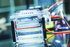 Biochemistry Gallery: Gel electrophoresis