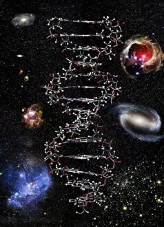 Images Dated 22nd July 2005: Genetic universe