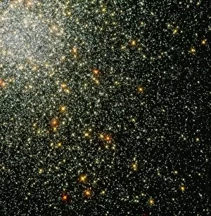 Images Dated 5th July 2001: Globular cluster 47 Tucanae