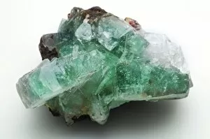 Crystals Collection: Green apophyllite