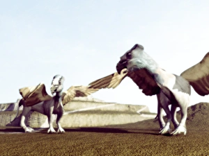 Griffons Griffons