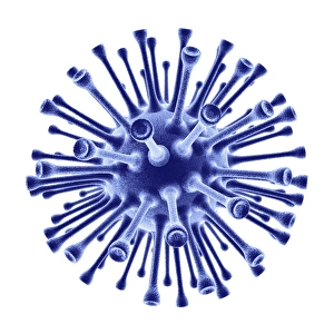 H1N1 flu virus particle, artwork F006/9186 H1N1 flu virus particle, artwork F006/9186