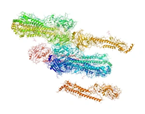 Haemagglutinin from bird flu virus Haemagglutinin from bird flu virus