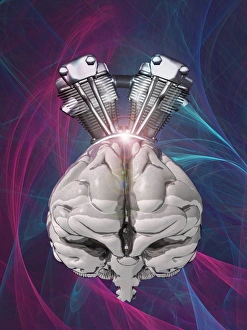 Cybernetic Gallery: Harnessing brain power, artwork C013 / 9965