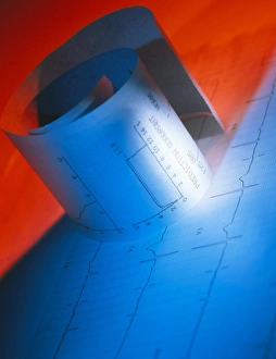 Healthy electrocardiograph and vitalograph traces Healthy electrocardiograph and vitalograph traces