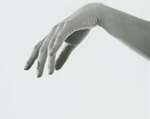 Thumb Gallery: Healthy hand