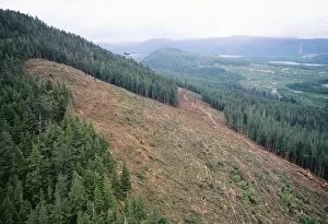 Images Dated 17th May 2004: Helicopter over a clear-cut hillside, Canada