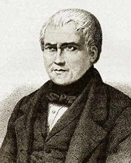 Henri-Marie Blainville, French Naturalist Henri-Marie Blainville, French Naturalist