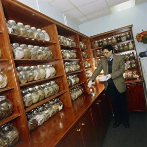 Herbalist in a Chinese herbal medicine pharmacy Herbalist in a Chinese herbal medicine pharmacy