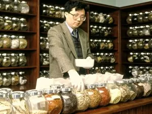 Images Dated 6th September 2002: Herbalist in a Chinese herbal medicine pharmacy