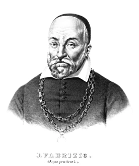 Hieronymus Fabricius, Italian anatomist Hieronymus Fabricius, Italian anatomist