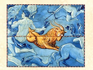 Historical art of the constellation of Capricornus Historical art of the constellation of Capricornus