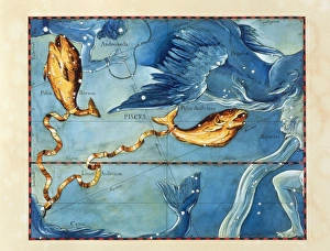 Historical artwork of the constellation of Pisces Historical artwork of the constellation of Pisces