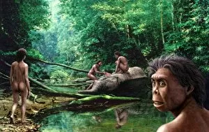 Images Dated 30th June 2006: Homo floresiensis