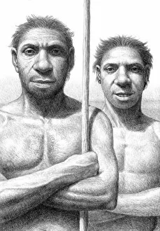 Images Dated 30th June 2006: Homo heidelbergensis