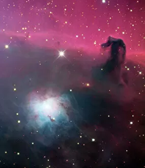 Silhouetted Gallery: Horsehead nebula