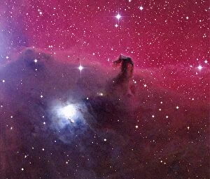 Dust Gallery: Horsehead Nebula