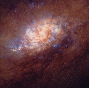 HST image of star birth in galaxy NGC 1808 HST image of star birth in galaxy NGC 1808