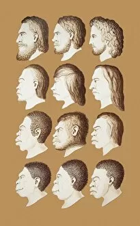 Anthropogeny Gallery: Twelve human faces, artwork, 1870