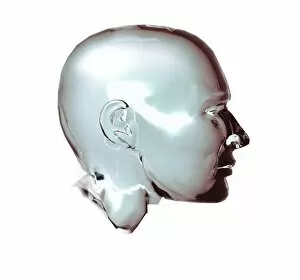 Images Dated 28th November 2002: Human head