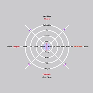 The four humours, diagram The four humours, diagram