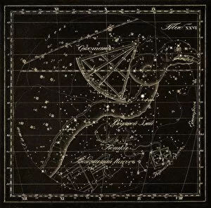 Night Sky Gallery: Hydra constellations, 1829 C016 / 4412