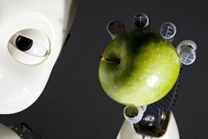Robotic Gallery: iCub robot