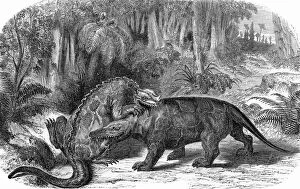 Palaeontology Gallery: Iguanodon and Megalosaurus, artwork