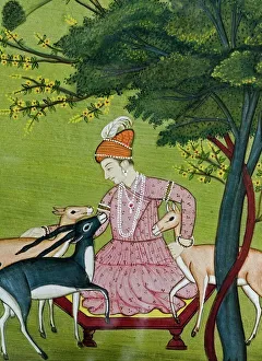Indian miniature, animal kindness ahimsa Indian miniature, animal kindness ahimsa