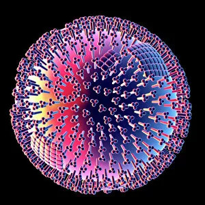 Influenza virus, computer artwork
