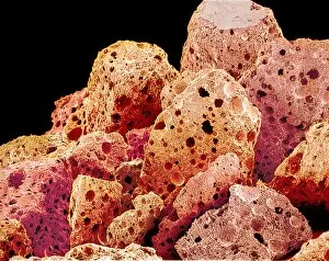 Images Dated 28th November 2001: Instant coffee grains, SEM