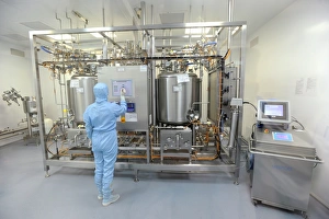 Biochemistry Gallery: Insulin production plant C017 / 9435