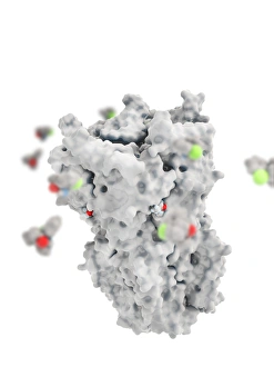 Ketamine drug binding to ion channel Ketamine drug binding to ion channel