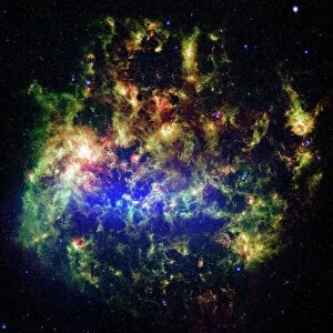 Dust Gallery: Large Magellanic cloud