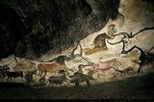 Bull Gallery: Lascaux II cave painting replica C013 / 7378