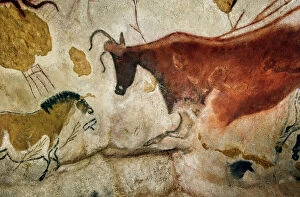 Cave Painting Collection: Lascaux II cave painting replica C013 / 7382