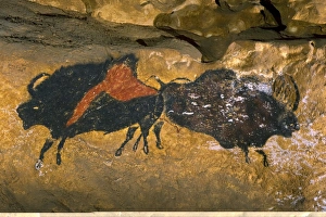 Le Thot replica of Lascaux cave painting C013 / 7374