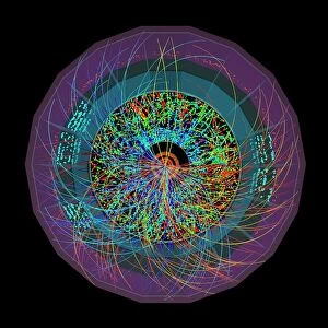 Particle Physics Gallery: Lead ion collisions