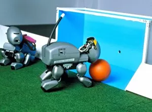Images Dated 15th July 1998: Legged Sony robot scores a goal at RoboCup-98