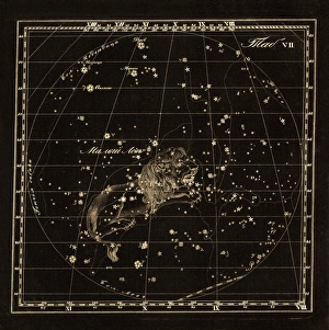 Leo Minor constellation, 1829 C016/4393 Leo Minor constellation, 1829 C016/4393