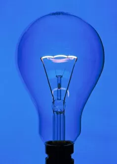 Images Dated 30th May 2001: Light bulb