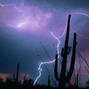 Lightning storm over Tucson, Arizona