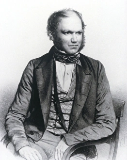 Lithograph of Charles Darwin aged 40 Lithograph of Charles Darwin aged 40