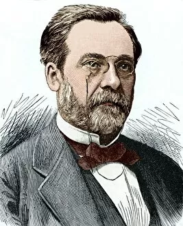 Historical Artwork Gallery: Louis Pasteur, French chemist
