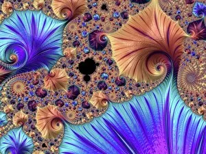 Symmetry Collection: Mandelbrot fractal F008 / 4436
